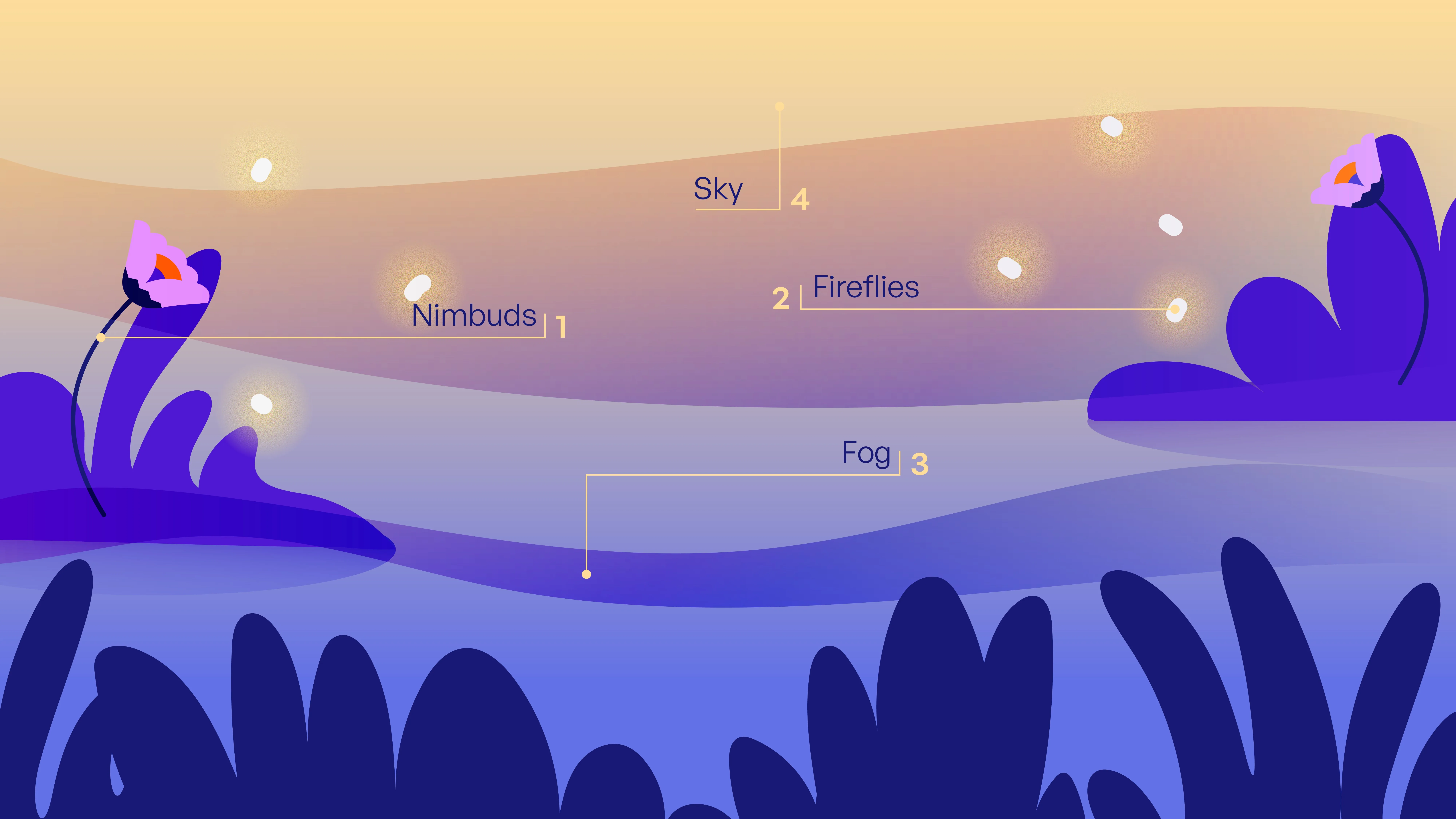 Nimbo anatomy — world